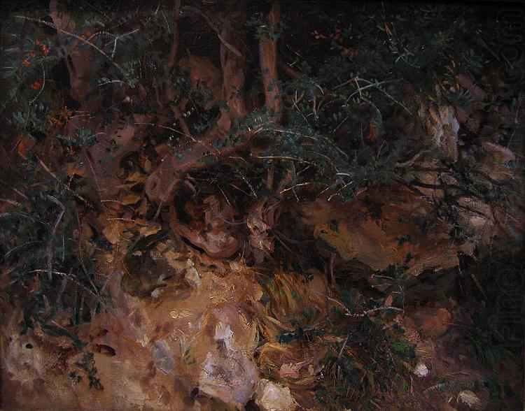 Thistles and Herbage on a Hillside, John Singer Sargent